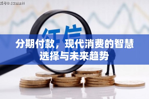 茂南分期付款，现代消费的智慧选择与未来趋势