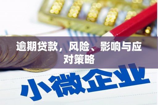 茂南逾期贷款，风险、影响与应对策略