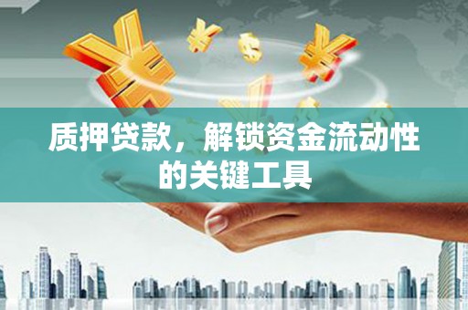 茂南质押贷款，解锁资金流动性的关键工具