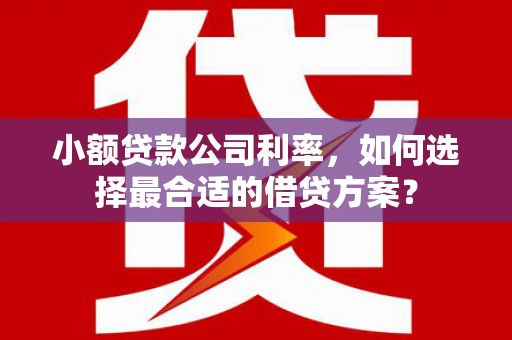 茂南小额贷款公司利率，如何选择最合适的借贷方案？