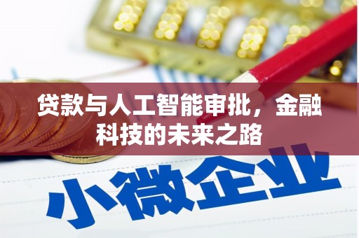 茂南贷款与人工智能审批，金融科技的未来之路