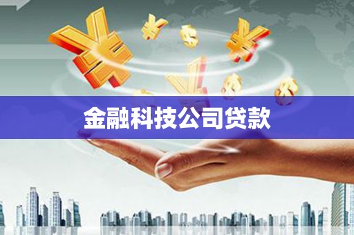 茂南金融科技公司贷款