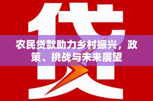 茂南农民贷款助力乡村振兴，政策、挑战与未来展望