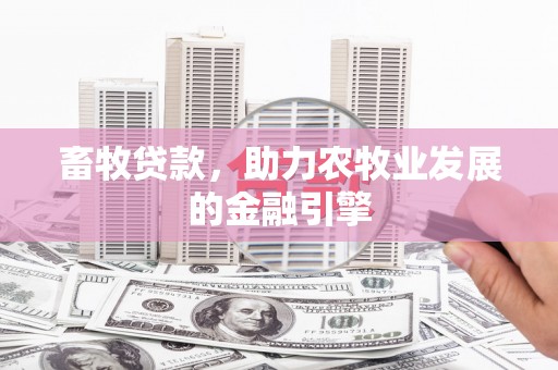 茂南畜牧贷款，助力农牧业发展的金融引擎