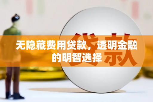 茂南无隐藏费用贷款，透明金融的明智选择