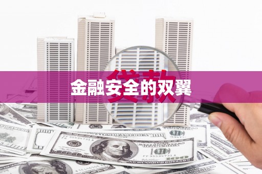 茂南金融安全的双翼
