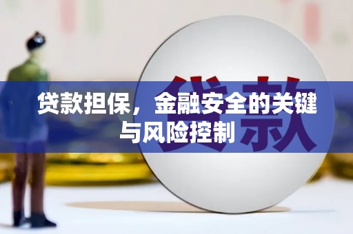 茂南贷款担保，金融安全的关键与风险控制