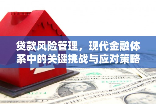 茂南贷款风险管理，现代金融体系中的关键挑战与应对策略