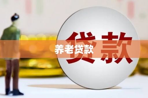 茂南养老贷款