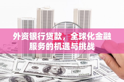 茂南外资银行贷款，全球化金融服务的机遇与挑战