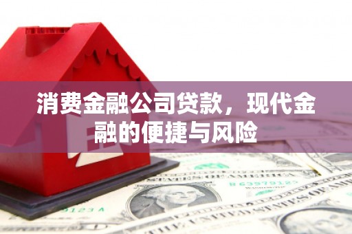 茂南消费金融公司贷款，现代金融的便捷与风险