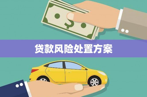 茂南贷款风险处置方案