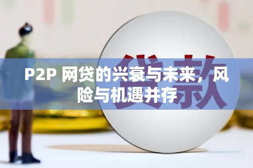 茂南P2P 网贷的兴衰与未来，风险与机遇并存
