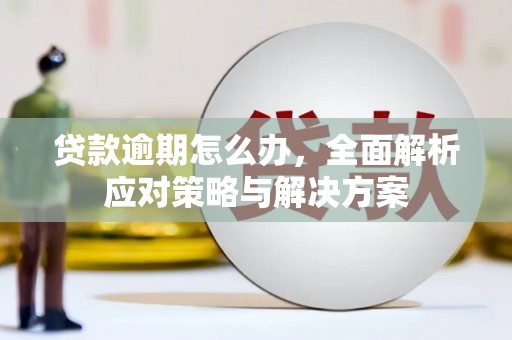 茂南贷款逾期怎么办，全面解析应对策略与解决方案