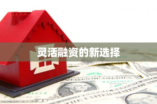 茂南灵活融资的新选择