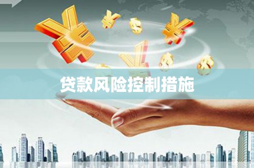 茂南贷款风险控制措施