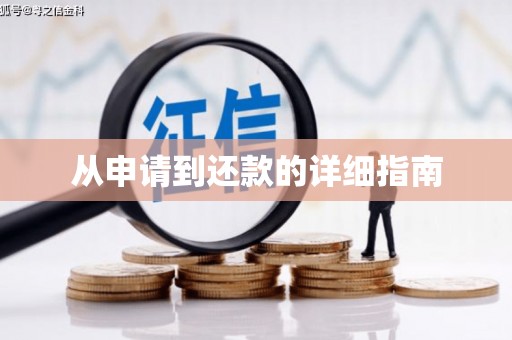 茂南从申请到还款的详细指南