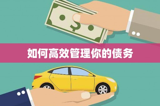 茂南如何高效管理你的债务