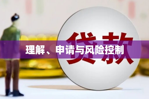 茂南理解、申请与风险控制