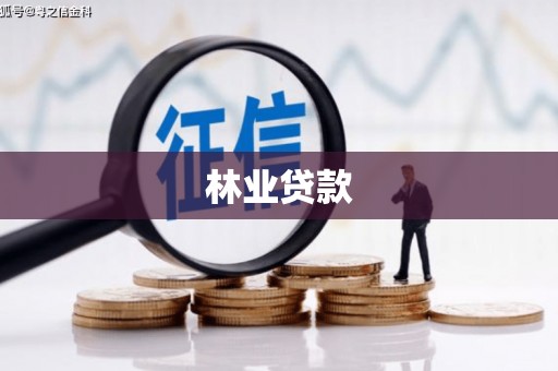 茂南林业贷款