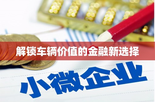 茂南解锁车辆价值的金融新选择