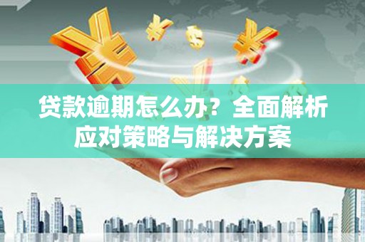 茂南贷款逾期怎么办？全面解析应对策略与解决方案