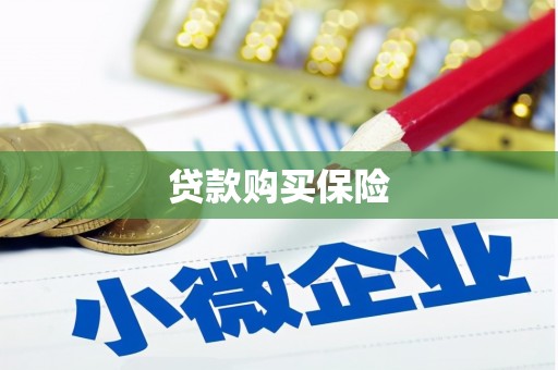 茂南贷款购买保险