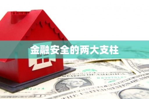 茂南金融安全的两大支柱