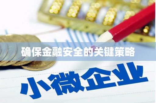 茂南确保金融安全的关键策略
