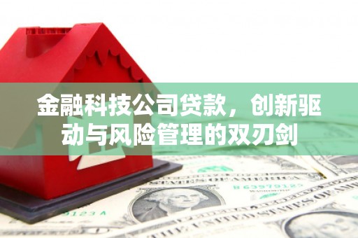 茂南金融科技公司贷款，创新驱动与风险管理的双刃剑